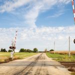 Feeding steam-flaked corn to cattle reduces enteric methane emissions