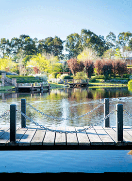 The Bath Family’s Botanical Garden – A Shared Experience