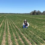 Relentless rain in southern Queensland stalls winter crop planting | Queensland Country Life