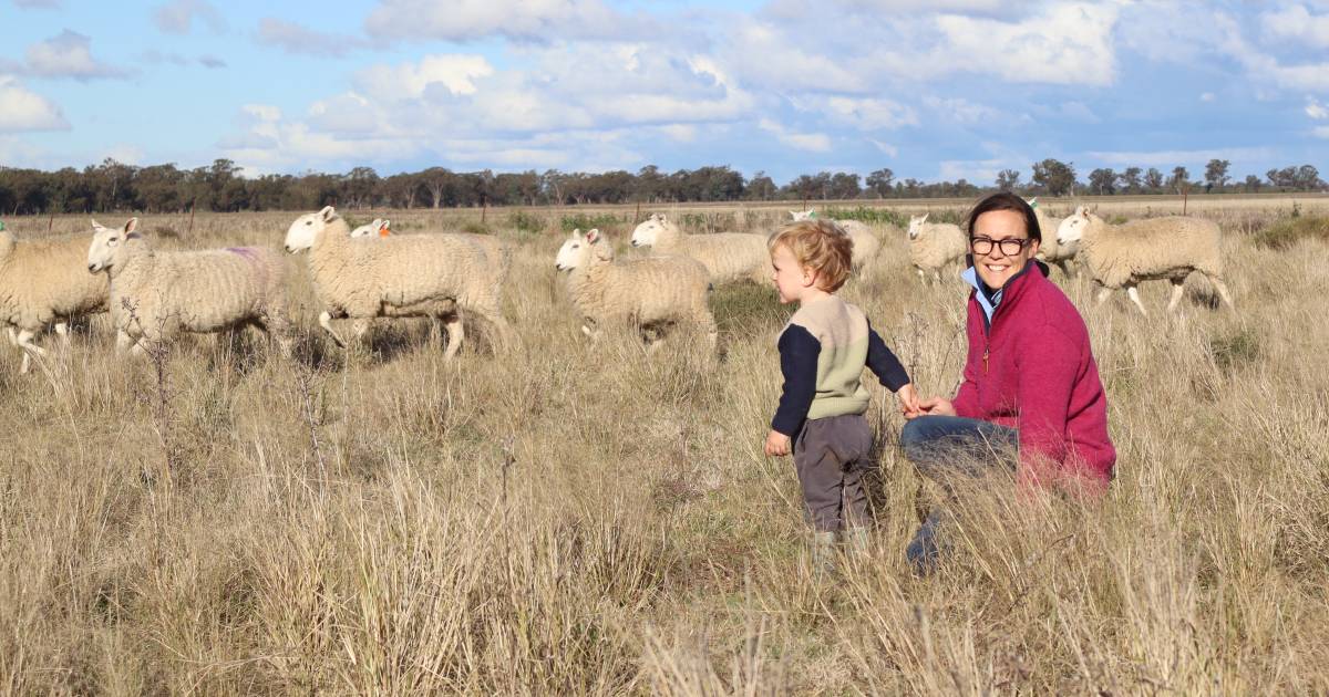 Animal health, biosecurity, and disease management are priorities for a Cooinda Border Leicester stud | The Land