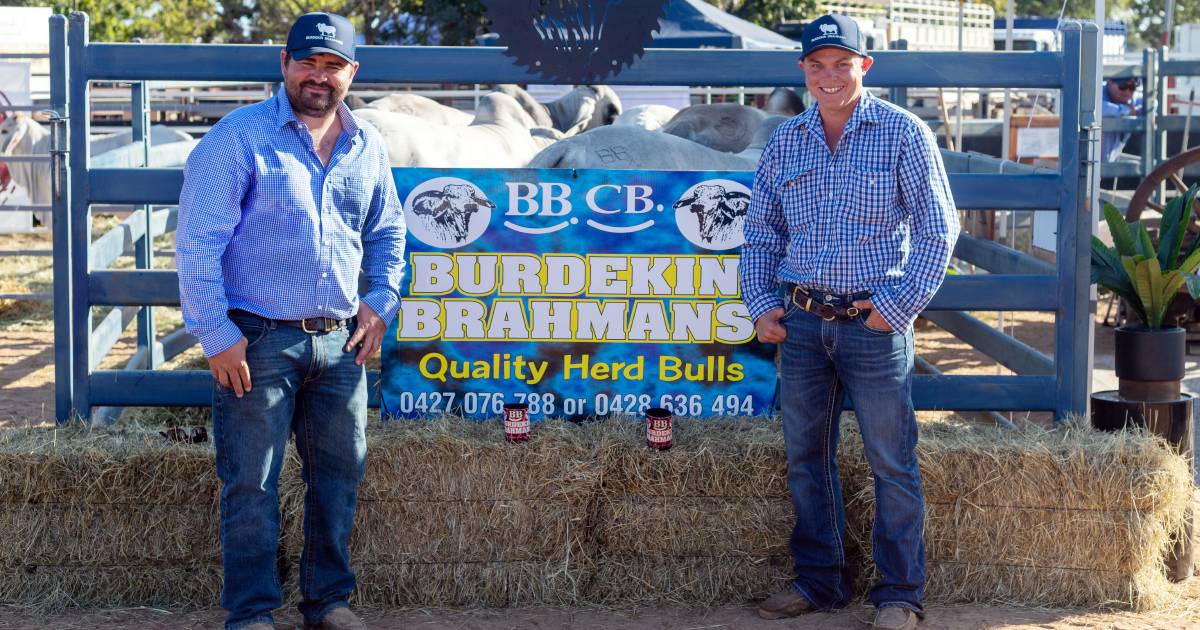 NBPE results in noteable bull sale for local exhibitor