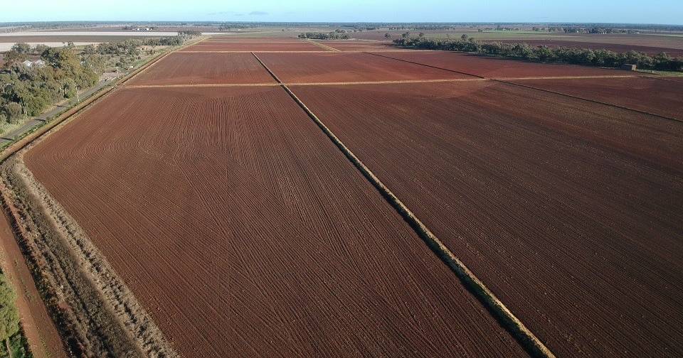 Grain processing, house and farm all in one