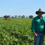 North Queensland cattle country sold at auction