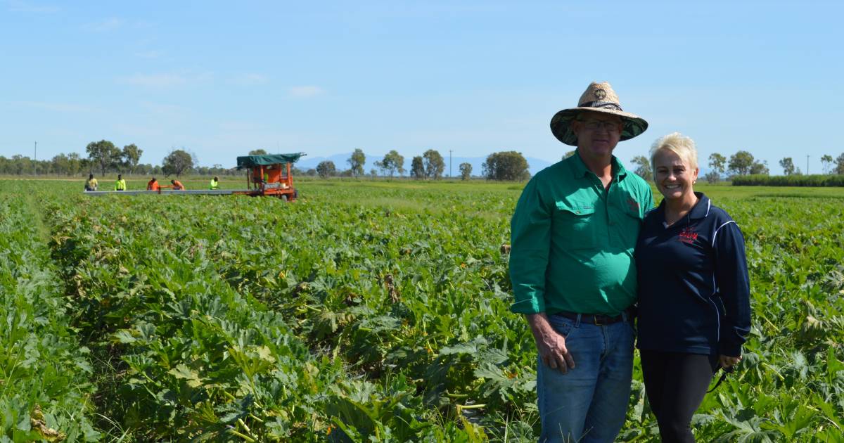 Coles splashing cash to support Queensland organic producers