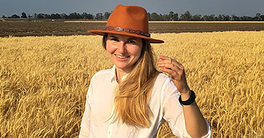 Qld wheat researcher wins international Borlaug award