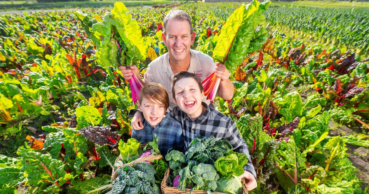 Coles splashing cash to support organic producers