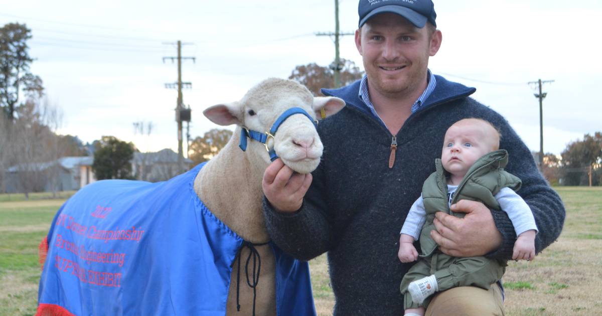 Faces of the NSW Dorset Championships at Cowra | PHOTOS