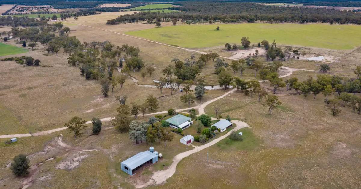 Quality Millmerran breeding/backgrounding property | Video