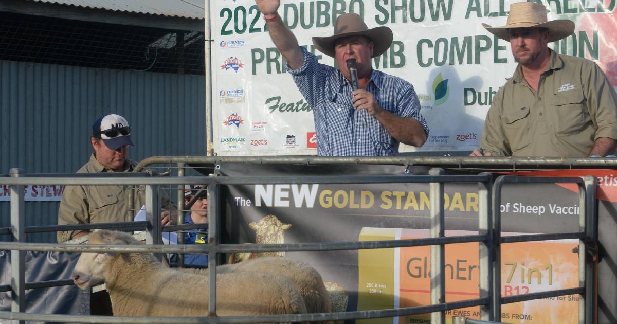 Dubbo Prime Lamb Auction raises five figures for 11 charities | The Land