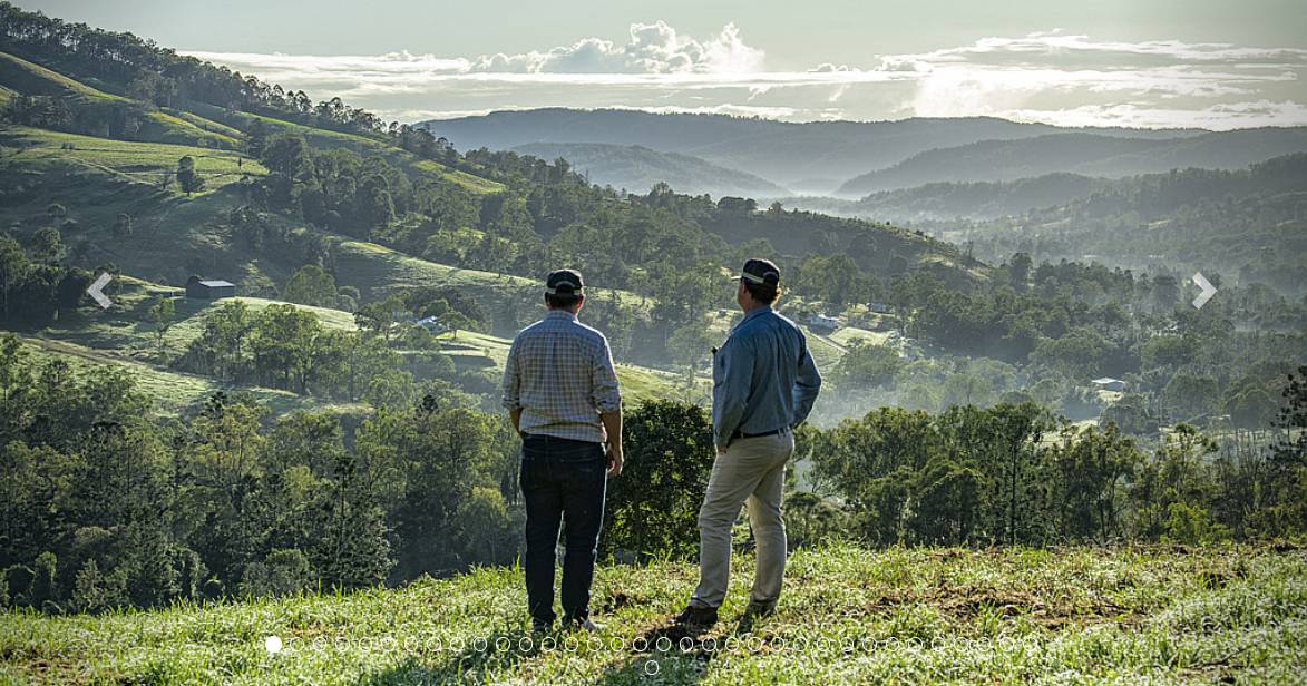 Stunning Gold Coast hinterland property hits the market