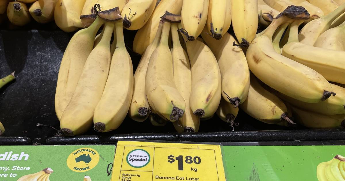 Soaring costs will ‘finish off’ some fruit, veg growers this year, fellow producers say | Queensland Country Life