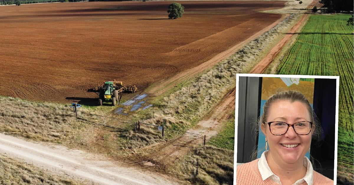 Barley widens the window for late winter crops