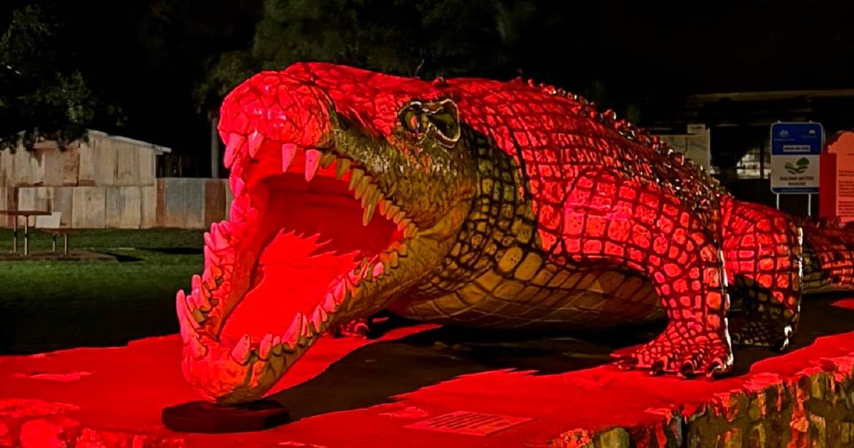 Krys the Savannah King croc lights up for Queensland Day