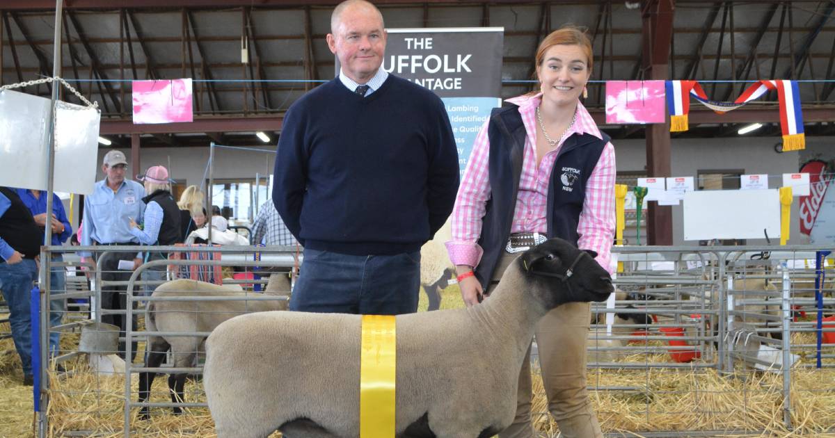 First-time NSW State Sheep Show entrants on top of Suffolk ring