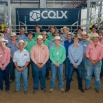 Dubbo weaner steers sell to $2060