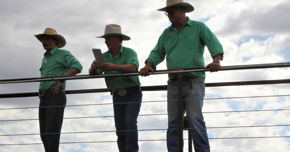 Talk of the Town: The modern evolution of cattle sales | The Land