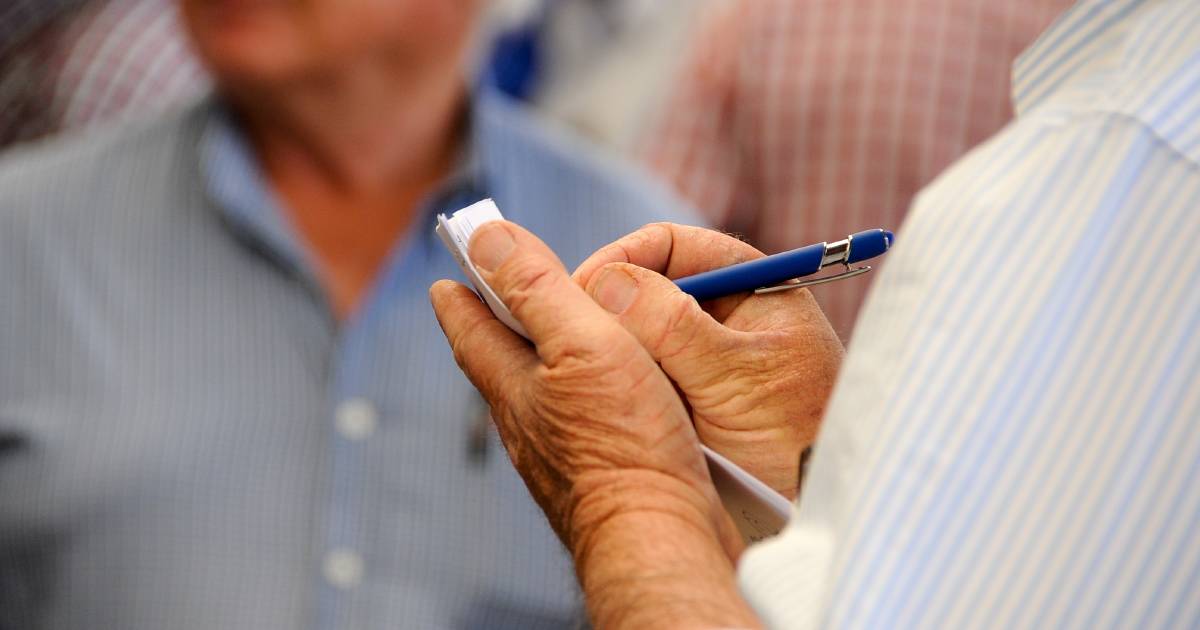 Cows with calves reach $2850 top at Gracemere store sale