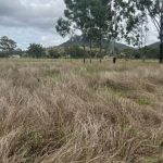 Hewitt Cattle to put 539ha solar farm rental income on the market