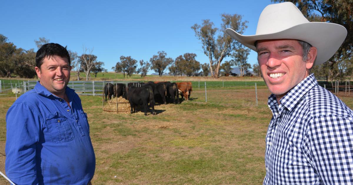 The Land Northern Beef Week day two photos | The Land