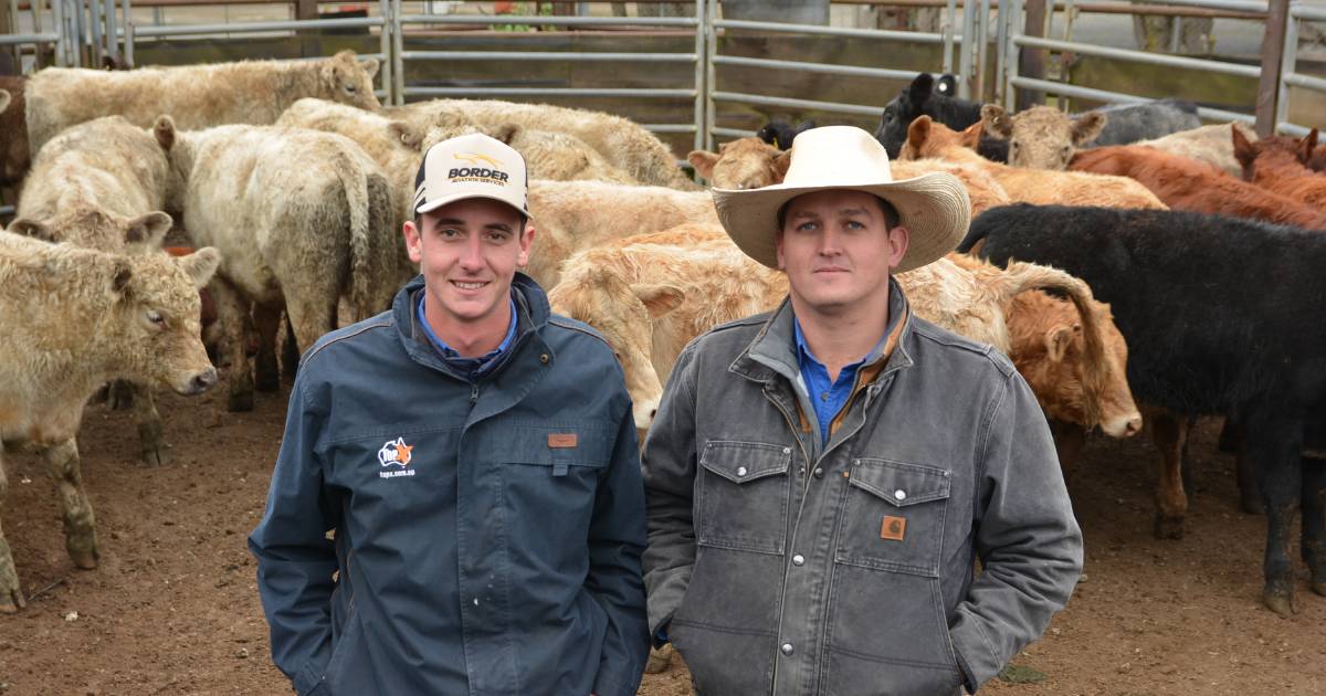 Weather impacted weaners sell in a strong market | The Land