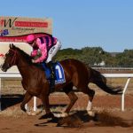 Birdsville currently accessible only from the north | Queensland Country Life