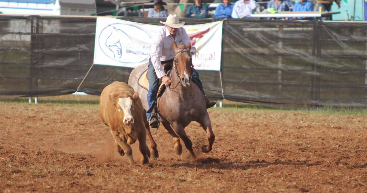 Free gallery: Action shots from Warrego Campdraft