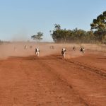 Headspace Mount Isa benefits from early career program