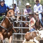 Longreach rings in a new era for cattle sales | Queensland Country Life