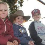 Carcoar cattle prices still hot as chill sets in