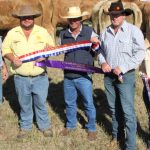 Weaner heifers hit $1619 average at Monto