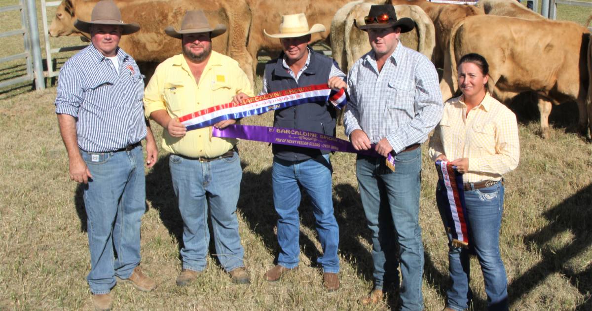 Jaccondal Charolais steers top Barcaldine Show cattle sale | Queensland Country Life