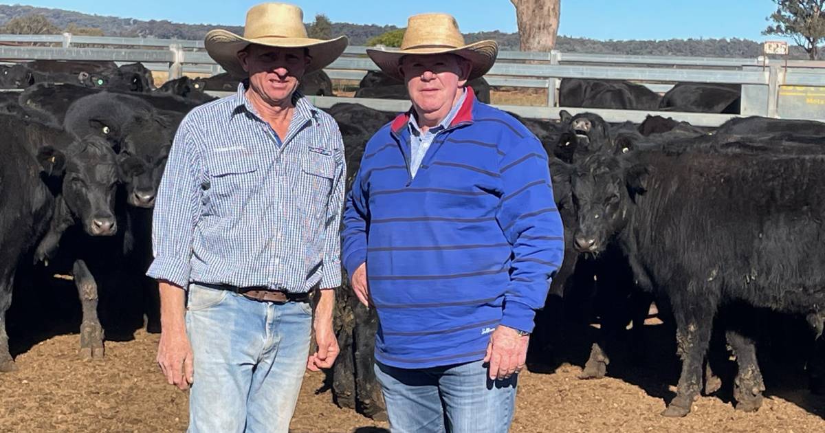 High quality dictates bidding at Dunedoo