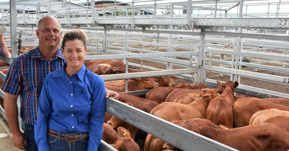 Big crowds at 'best ever' weaner sale at CQLX | Photos