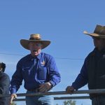 Mount Isa Show 2022 is set to sparkle