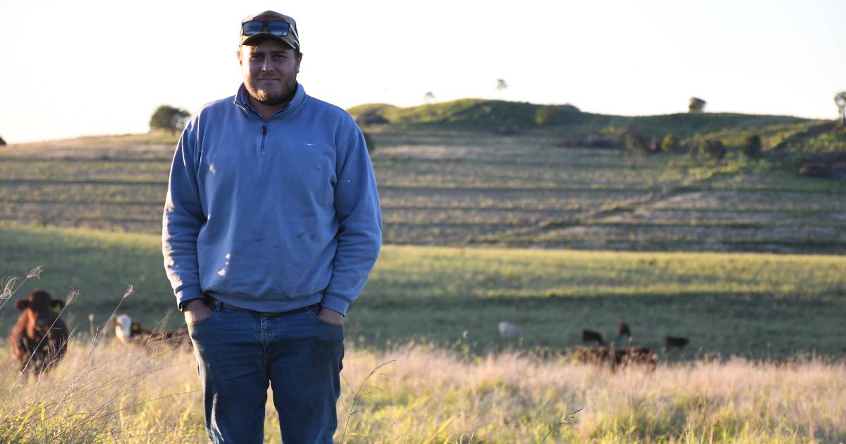 Piggeries to paddocks proves a winner for Burnett graziers