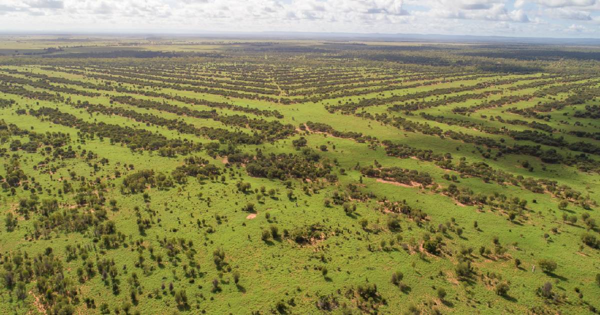 Impressive Central Qld cattle country hits the market