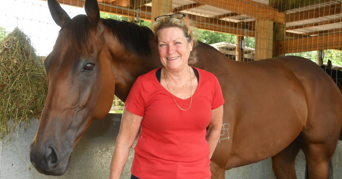 Winning streak has Gosford trainer Angela Davies riding high | The Land