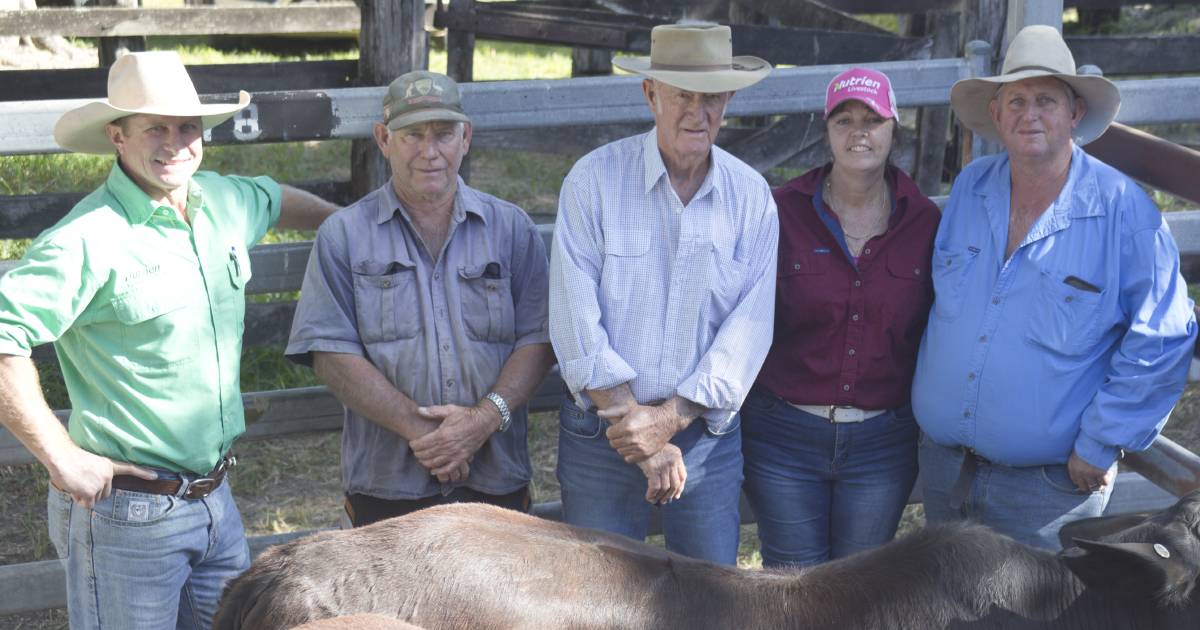 Lowmead’s Turner family claim champion pen at Miriam Vale Show sale | Queensland Country Life