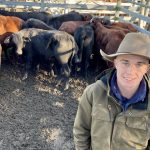 Nutrien Livestock to host store cattle sale at Boyanup saleyards on July 1 | Farm Weekly