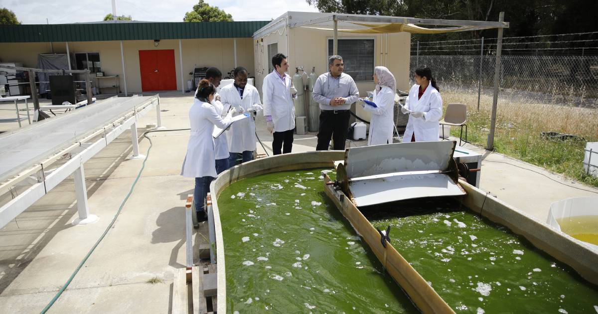 New uses for agriculture waste water