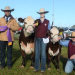 Gunnedah saleyards set for a facelift | The Land