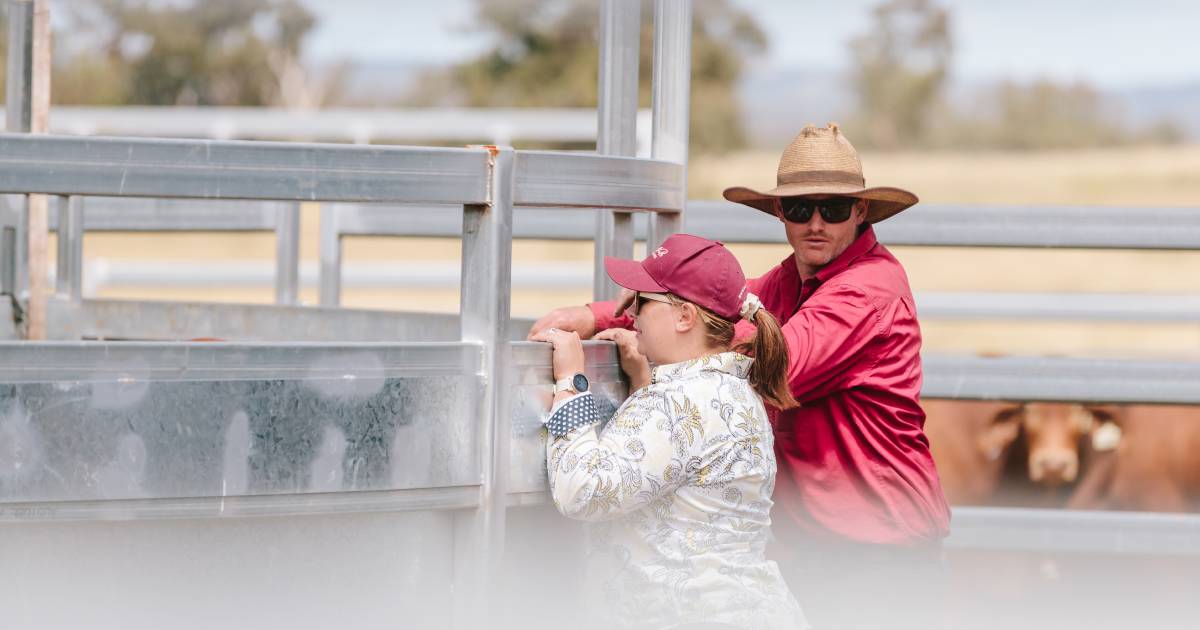 Why this couple are now trading bulls