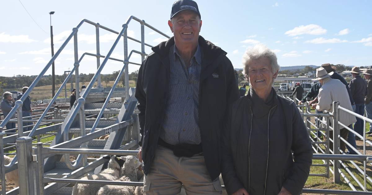 Wet weather helps prompt freeze on store lamb prices at Warwick