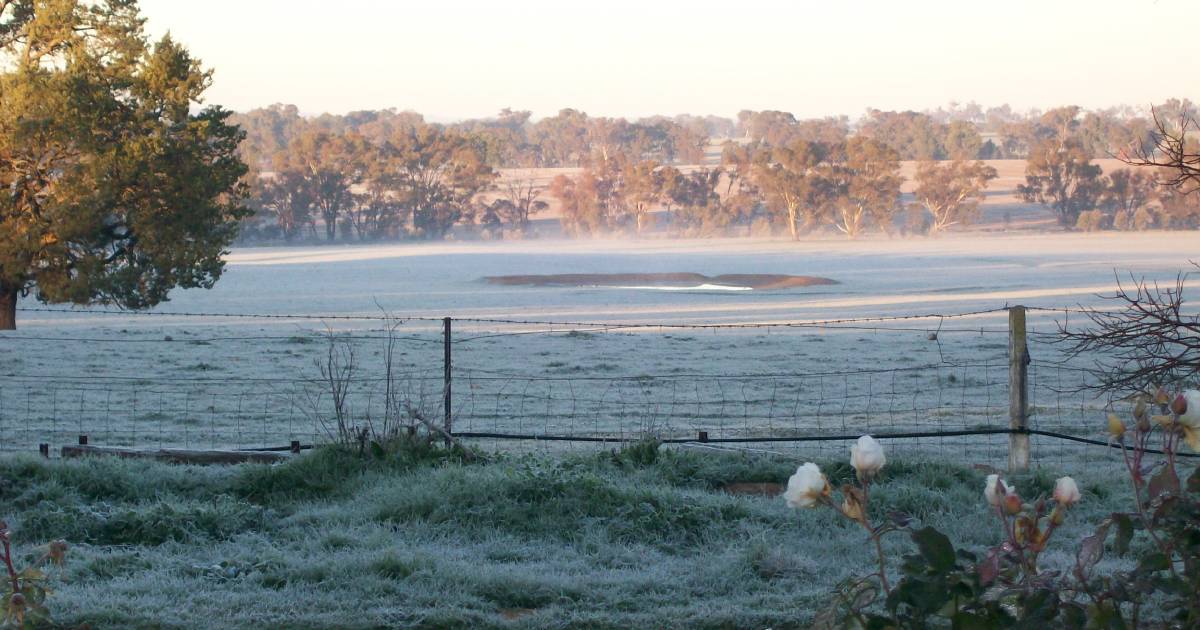 Record low June temperatures, with rain on the way | The Land