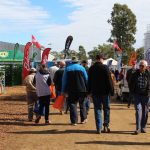 Harvest drags on for summer croppers in wake of big wet | The Land