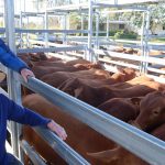 Lactalis Australia, which owns Harvey Fresh, increases minimum farmgate price offer for dairy farmers | Farm Weekly