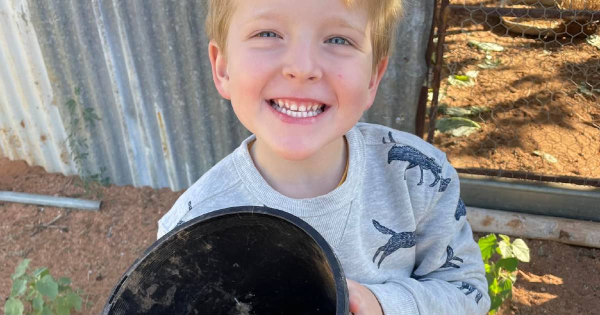 Four-year-old local entrepreneur eggs on tourists | The North West Star