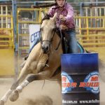 It's Shorthorn showtime at Dubbo | PHOTOS