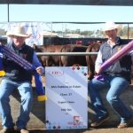 Vertical Valley all for the equestrian | Video