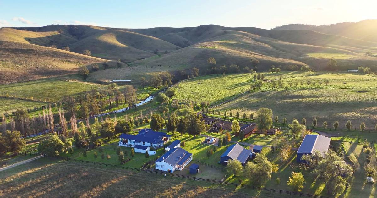 One of Bundaleer’s three Hunter Valley farms is already under offer and it’s been less than a week | The Land